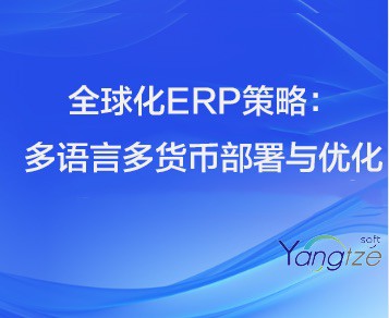 全球化视角下，多语言多货币ERP系统的部署与优化策略