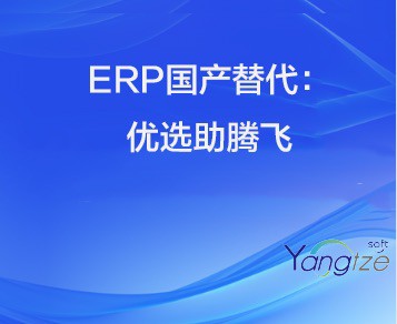 ERP 国产替代浪潮汹涌，优质选择才能助力企业腾飞