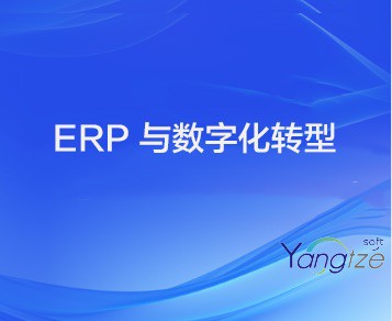 ERP 与数字化转型
