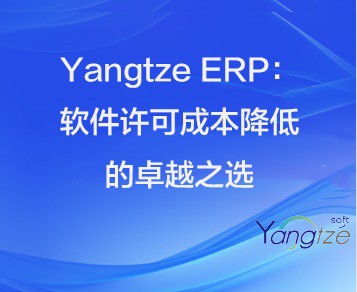 Yangtze ERP：软件许可成本降低的卓越之选
